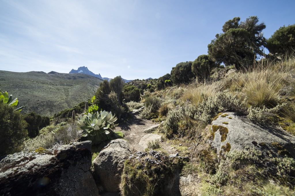 mtkenya_9