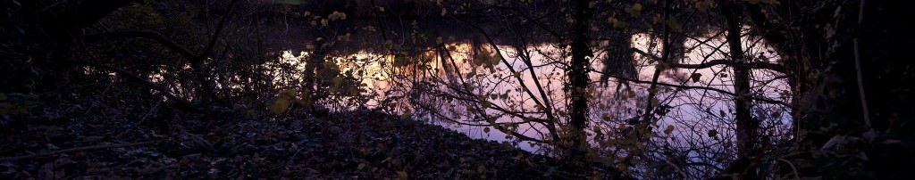 pan_reflection