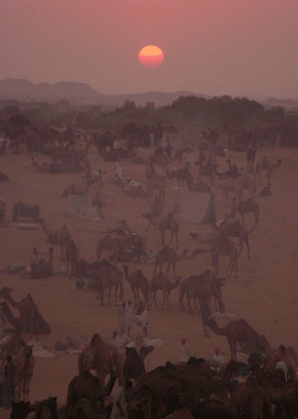 rajasthan26