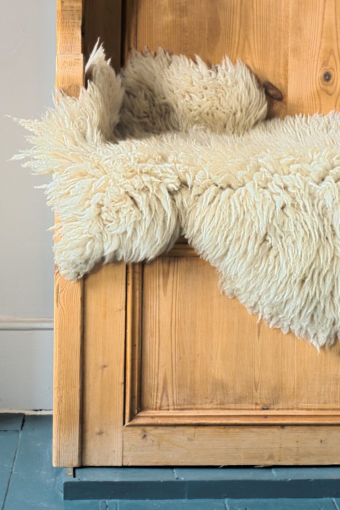 SheepSkin